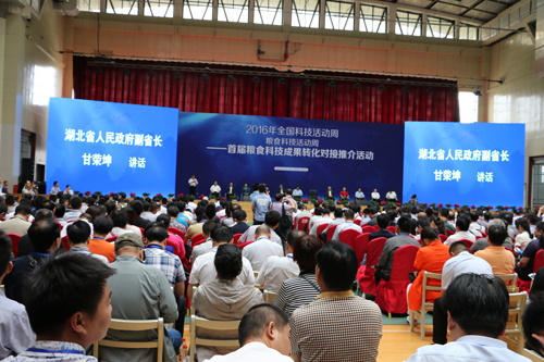 图片5修.jpg
